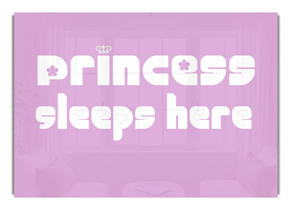 Princesss Sleeps Here 2 Pink