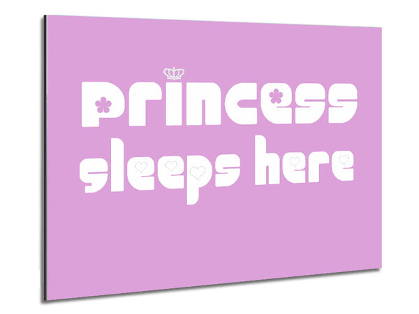 Princesss Sleeps Here 2 Pink