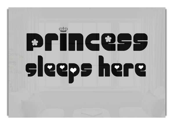 Princesss Sleeps Here 2 Grey