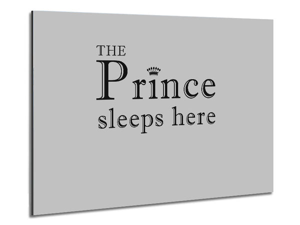 Boys room Quote The Prince Sleeps Here Grey