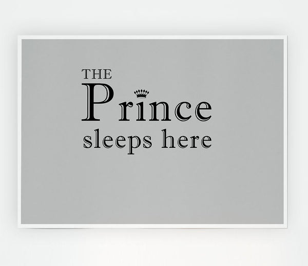 Boys Room Quote The Prince Sleeps Here Grey Print Poster Wall Art