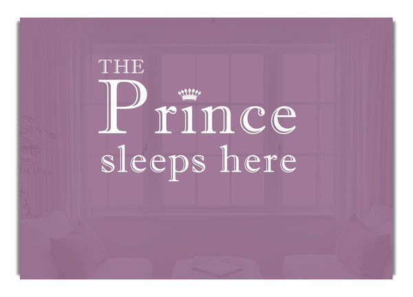 The Prince Sleeps Here Dusty Pink