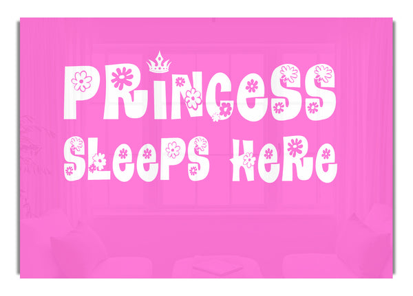 Princesss Sleeps Here Vivid Pink