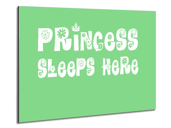 Princesss Sleeps Here Green