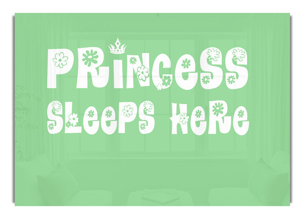 Princesss Sleeps Here Green