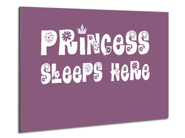 Girls Room Quote Princesss Sleeps Here Dusty Pink