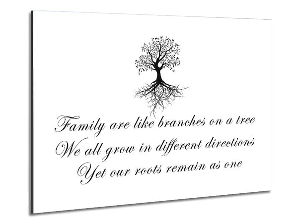 Family Quote Family Are Like Branches White