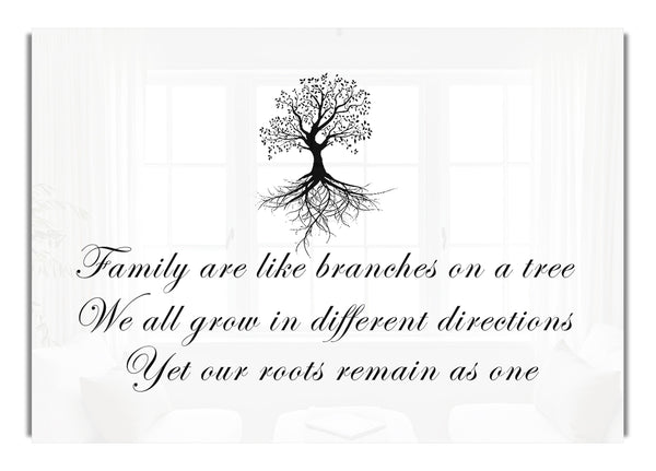 Family Are Like Branches White