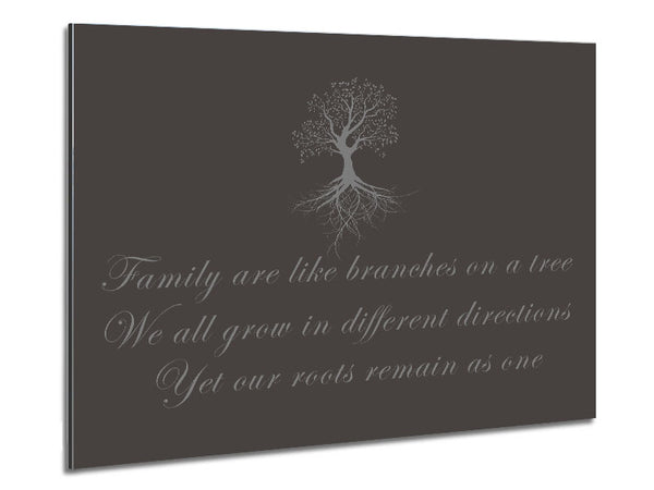 Family Quote Family Are Like Branches Chocolate