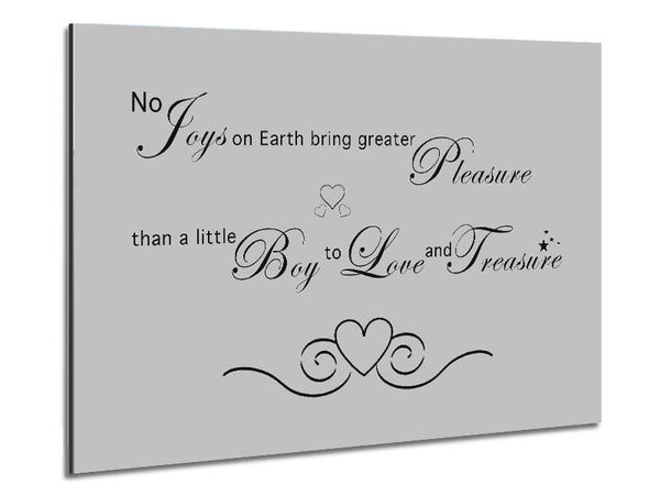 Boys Room Quote No Joys On Earth Bring Pleasure Grey