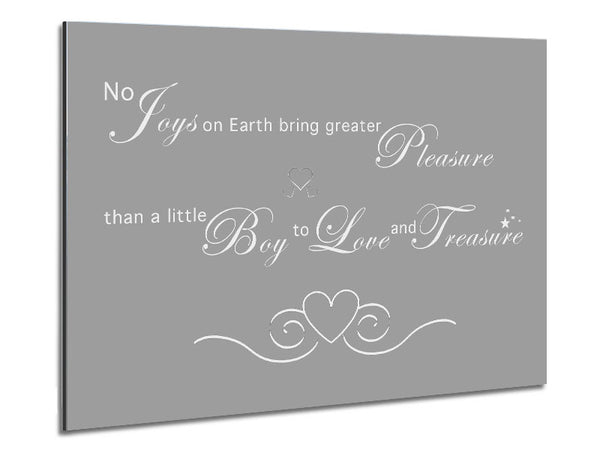 Boys Room Quote No Joys On Earth Bring Pleasure Grey White