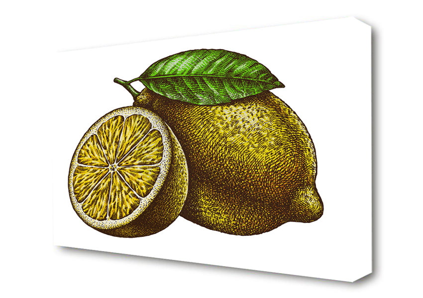 Picture of A Lemon Illustrated Canvas Print Wall Art