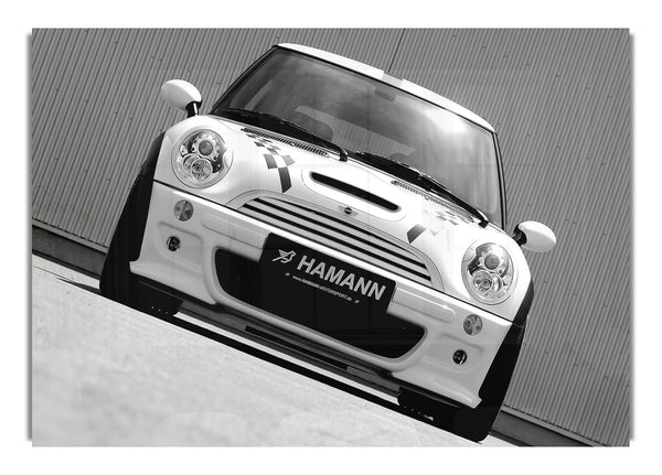 White Mini Front Profile