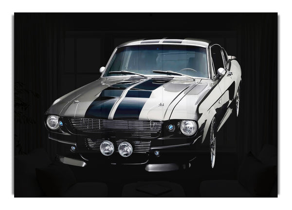 Mustang Stripes