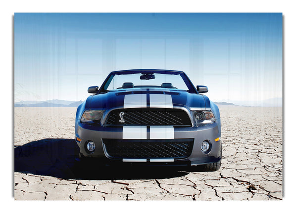 Mustang Shelby Front Profile