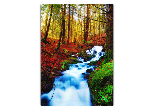 The Autumn Woodland Stream