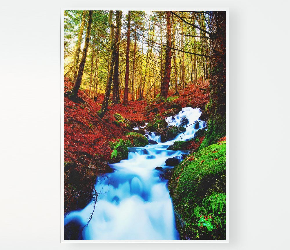 The Autumn Woodland Stream Print Poster Wall Art