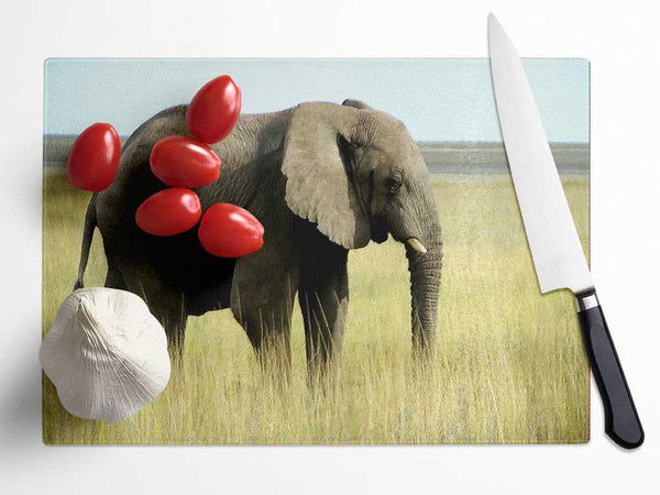 African Elephant Namibia Glass Chopping Board