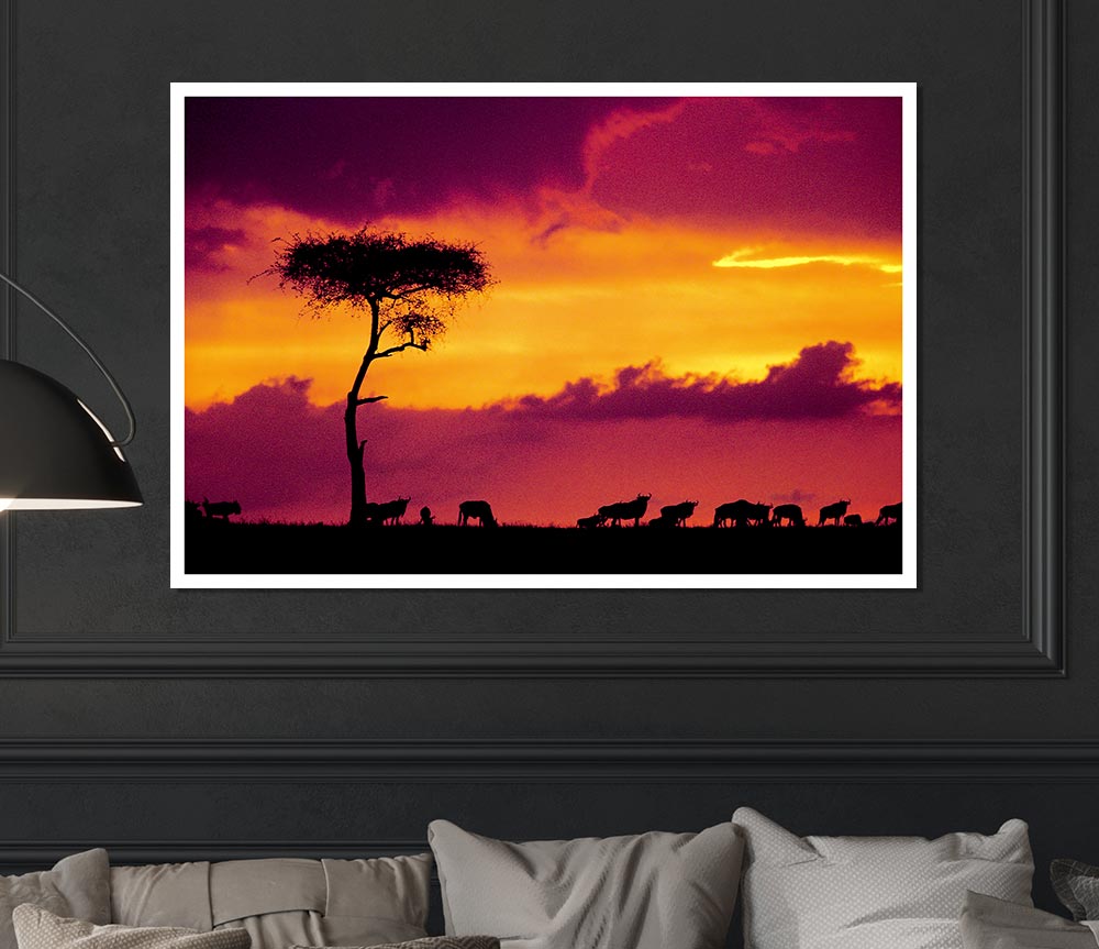 African Safari Sunset Print Poster Wall Art