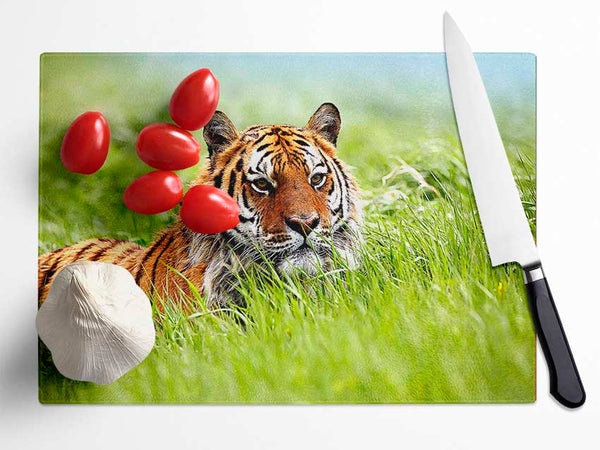 Amazing Siberian Tiger Glass Chopping Board