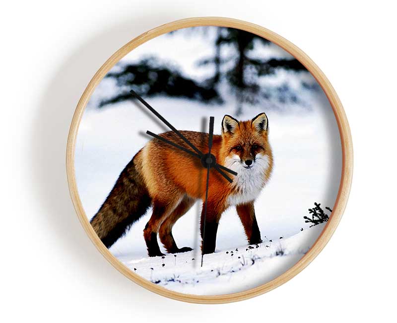 Arctic Fox In Snow Clock - Wallart-Direct UK