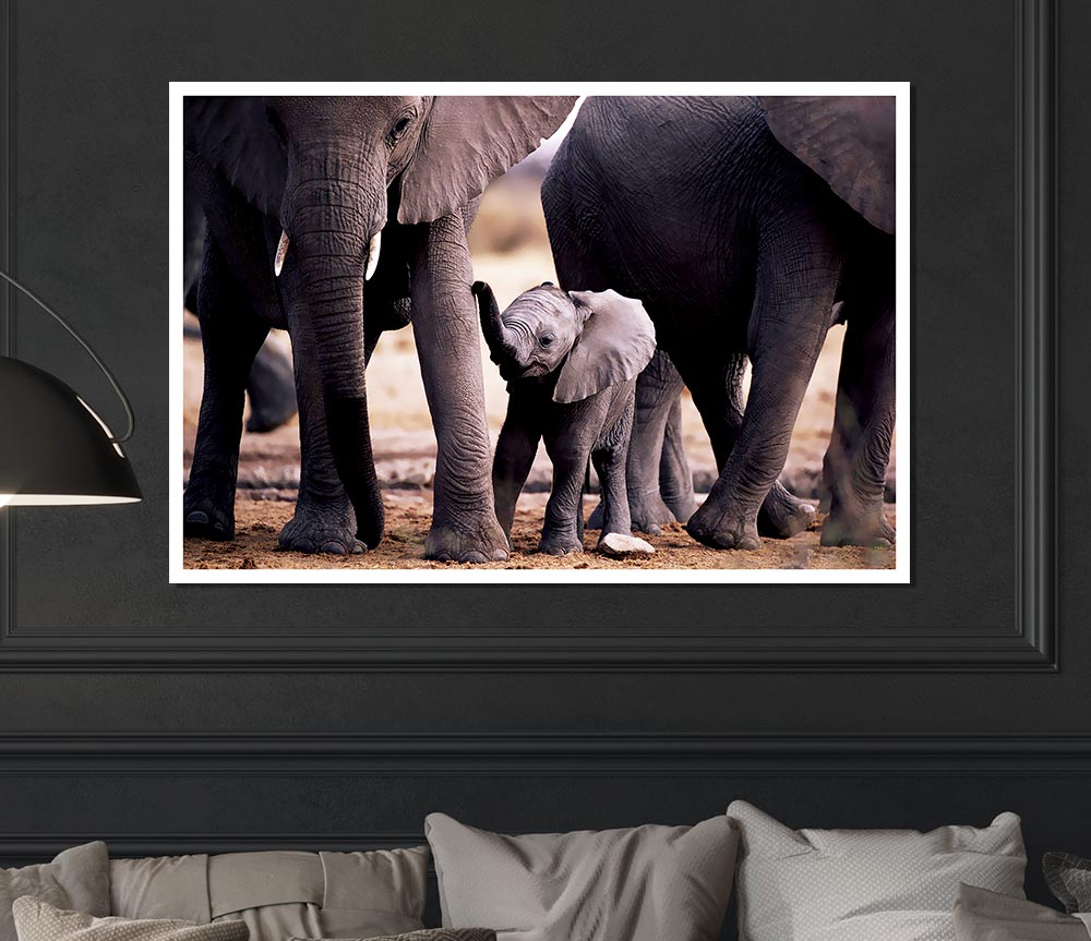 Baby Elephant Love Print Poster Wall Art