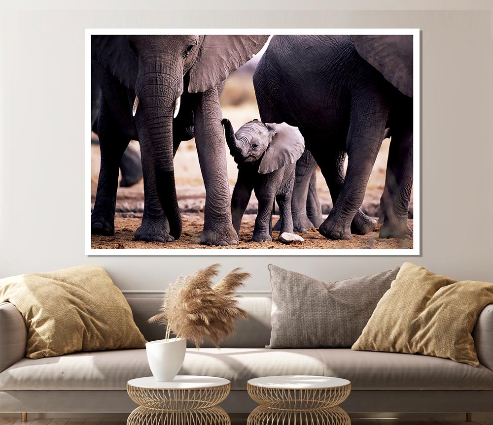 Baby Elephant Love Print Poster Wall Art