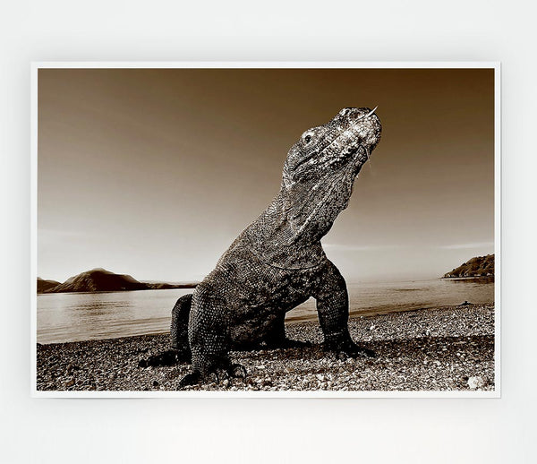 Beach Komodo Dragon Print Poster Wall Art