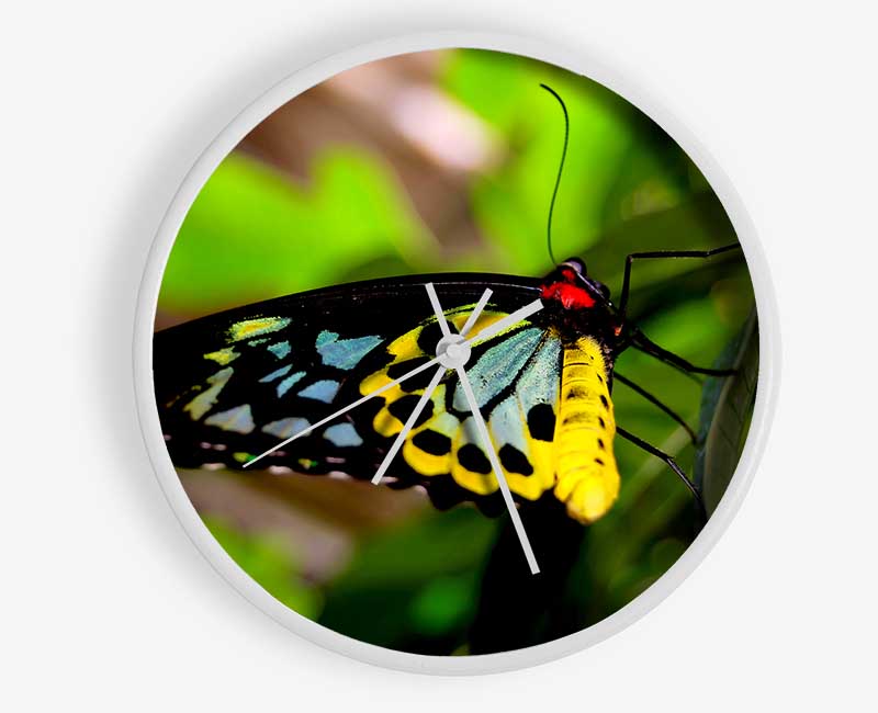 Beautiful Colourful Butterfly Clock - Wallart-Direct UK