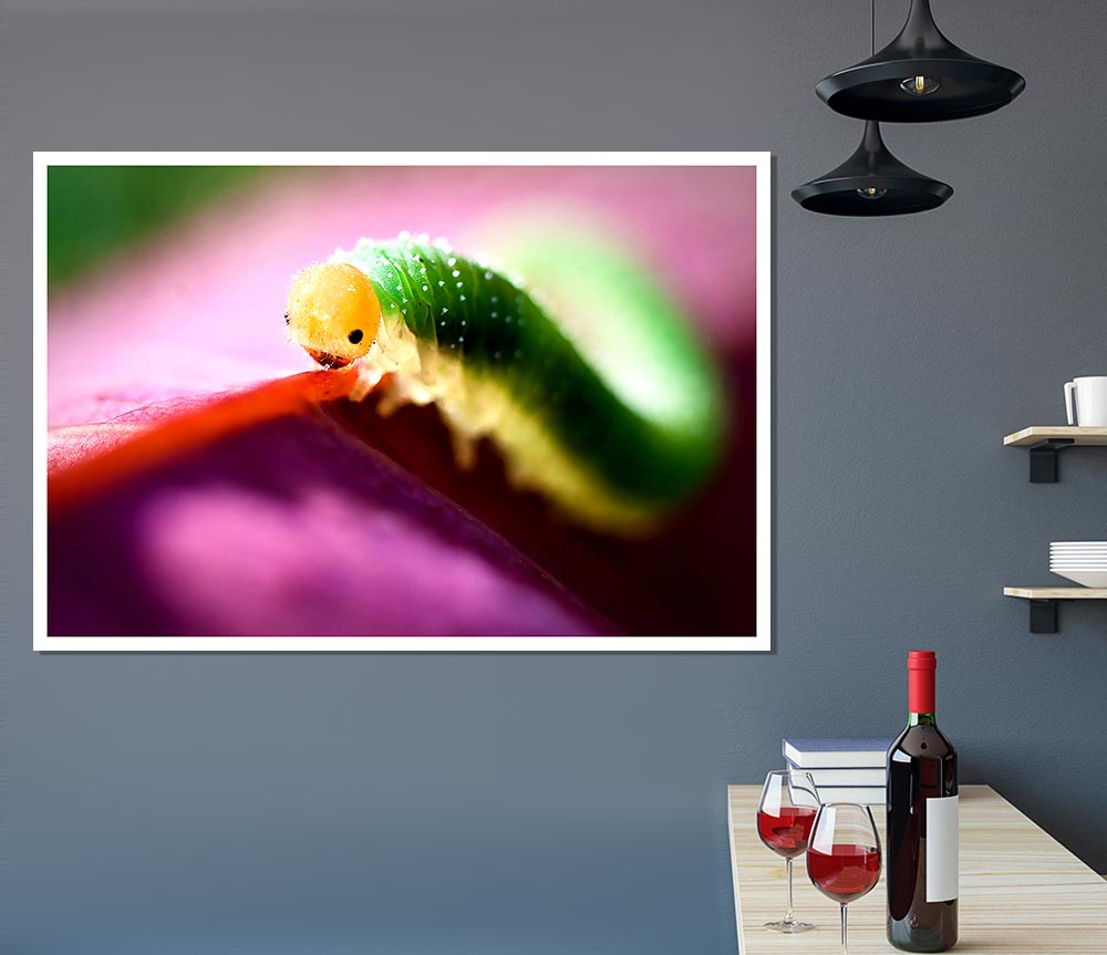 Beautiful Caterpiller Waiting Print Poster Wall Art