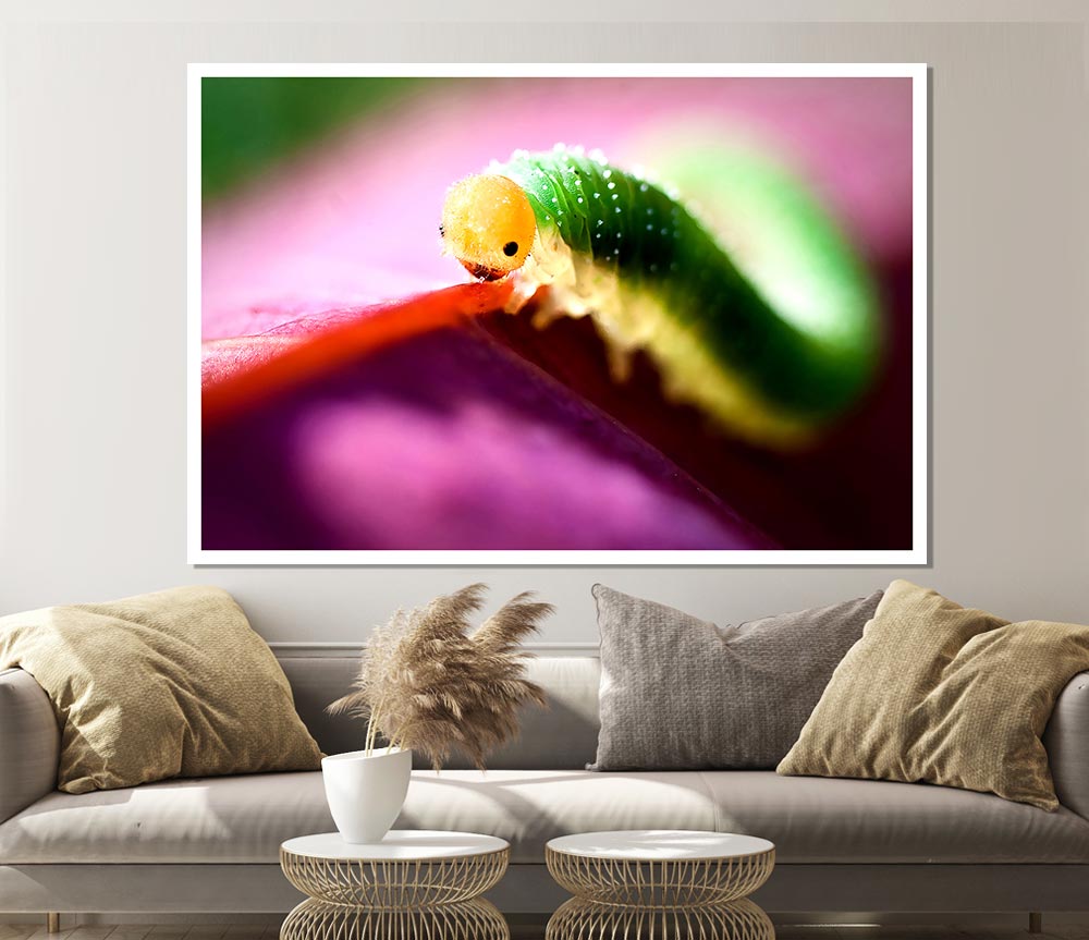 Beautiful Caterpiller Waiting Print Poster Wall Art