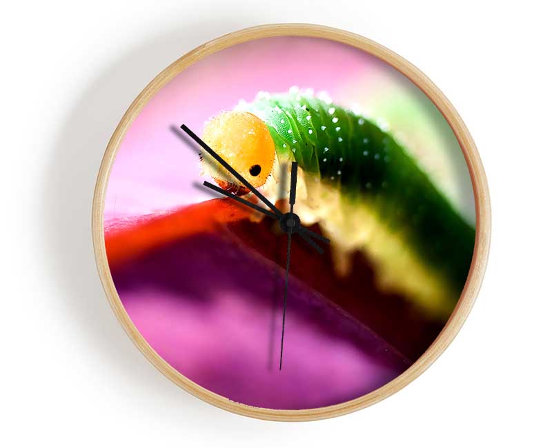 Beautiful Caterpiller Waiting Clock - Wallart-Direct UK