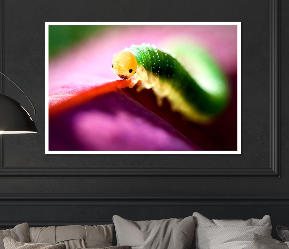 Beautiful Caterpiller Waiting Print Poster Wall Art