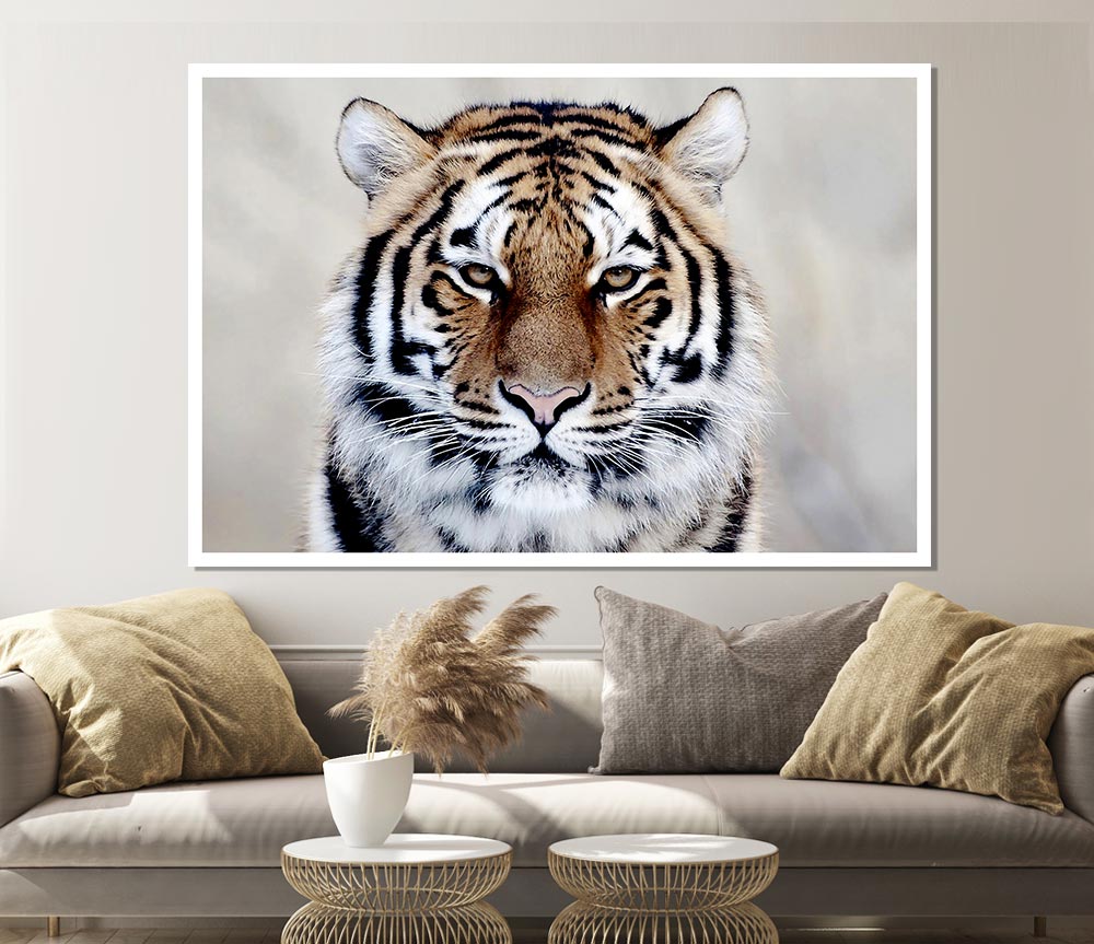 Beautiful Tiger Print Poster Wall Art