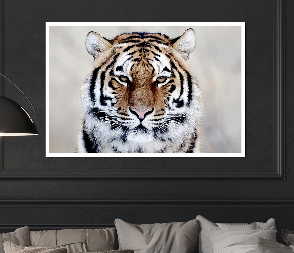 Beautiful Tiger Print Poster Wall Art