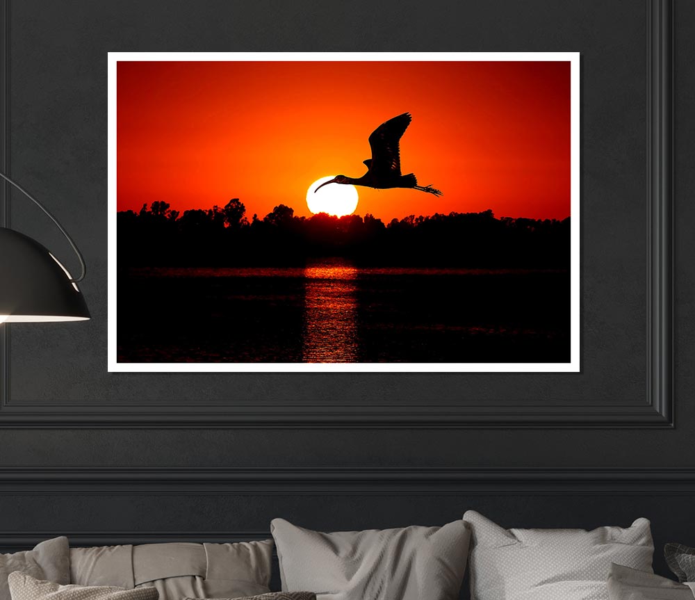 Bird Flying At Sunset Print Poster Wall Art