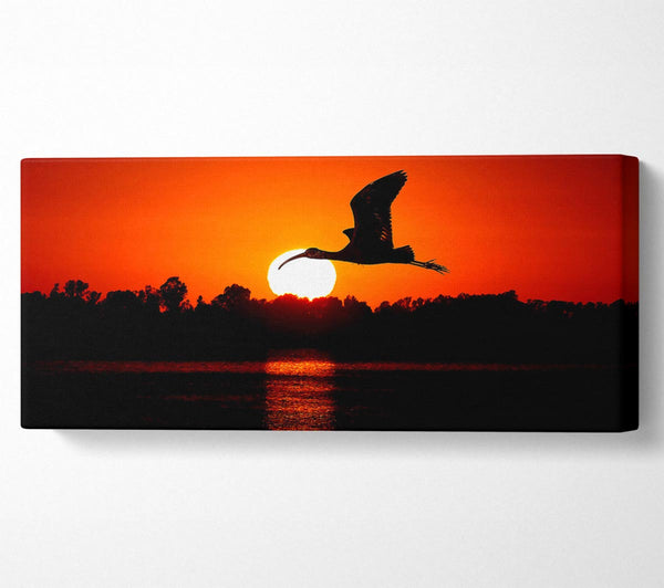 Bird Flying At Sunset