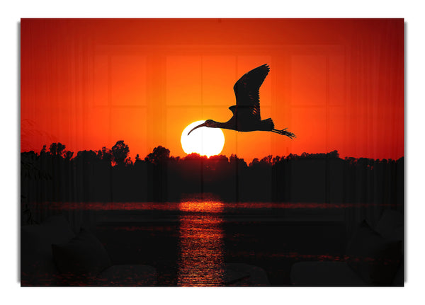 Bird Flying At Sunset