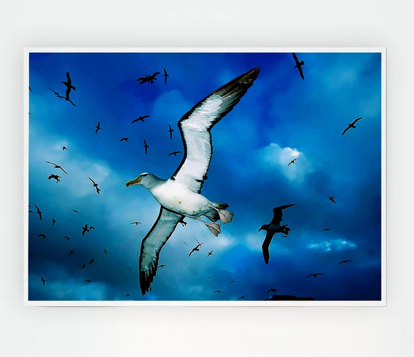 Birds In Flight Print Poster Wall Art