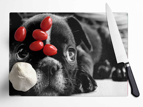 Black French Bulldog Puppy Glass Chopping Board