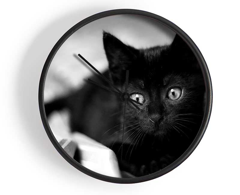 Black Kitten Clock - Wallart-Direct UK