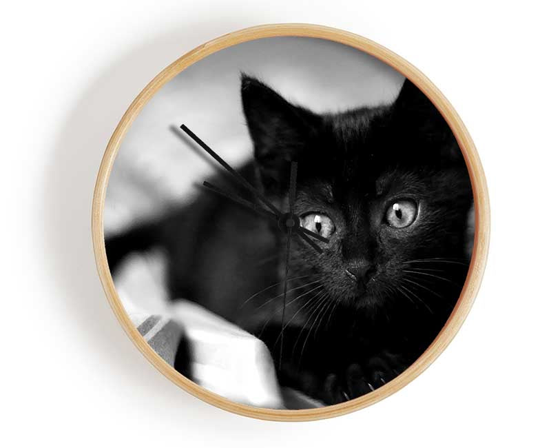 Black Kitten Clock - Wallart-Direct UK