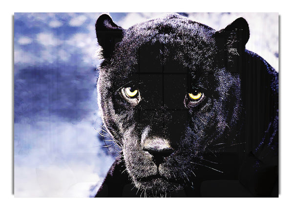 Black Panther