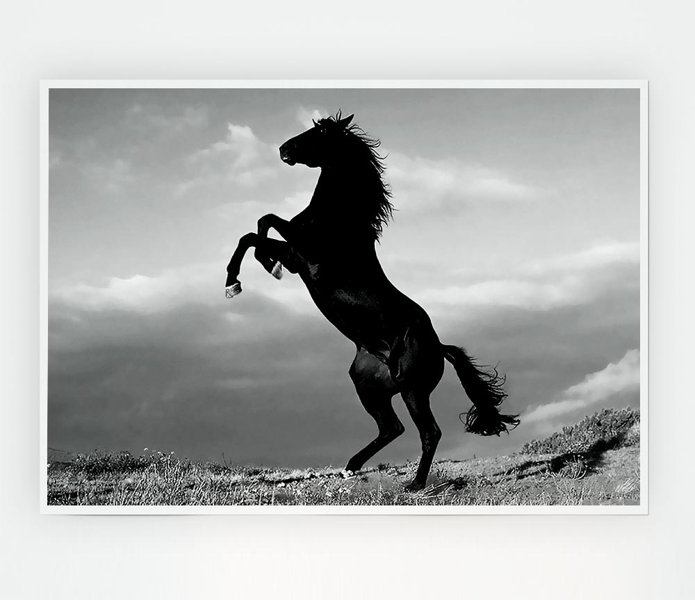 Black Wild Stallion Print Poster Wall Art