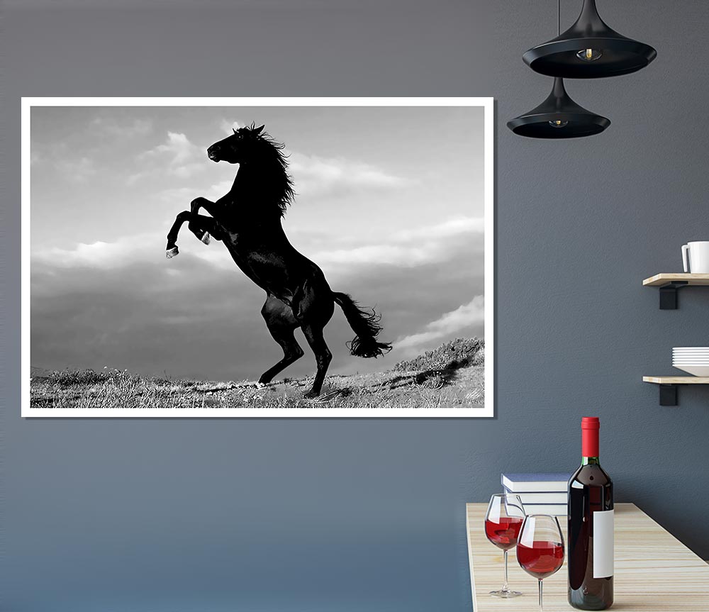 Black Wild Stallion Print Poster Wall Art