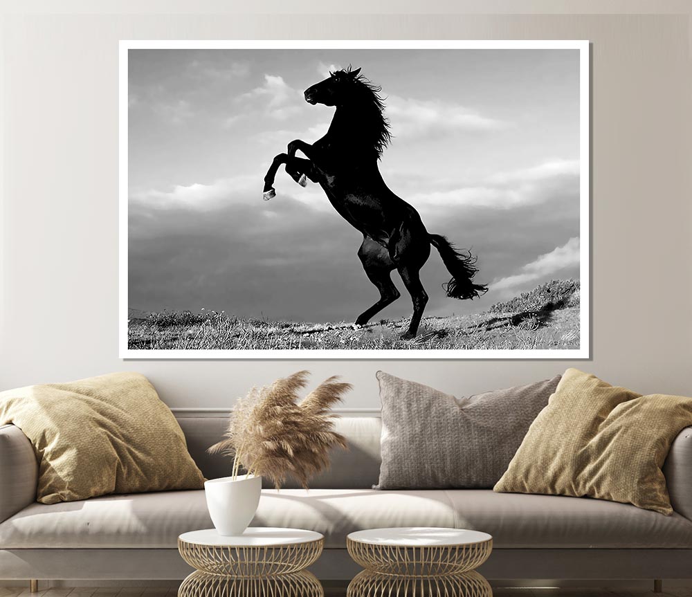 Black Wild Stallion Print Poster Wall Art