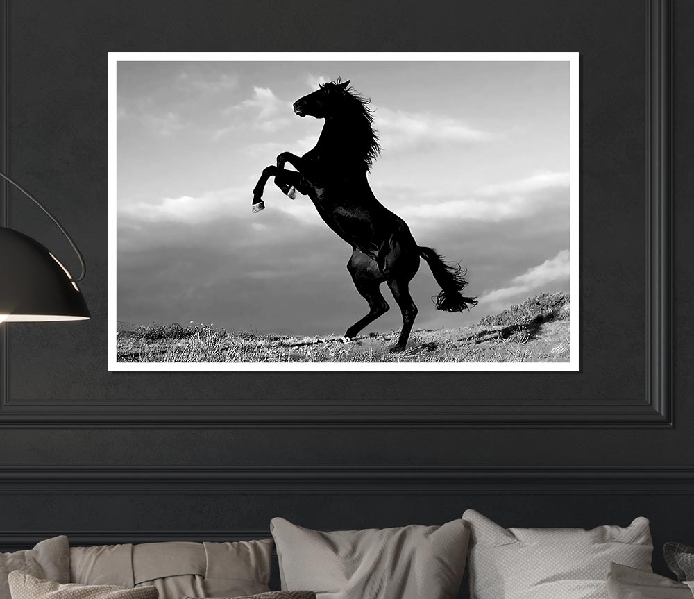 Black Wild Stallion Print Poster Wall Art