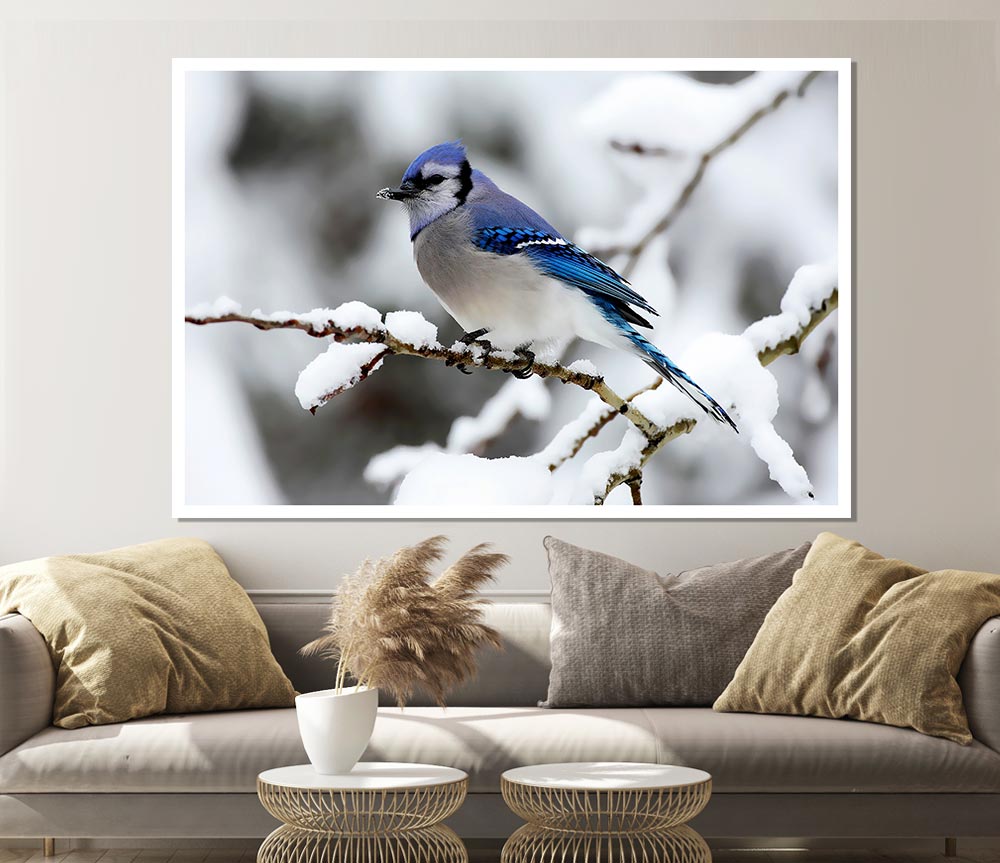 Blue Tit Winter Print Poster Wall Art