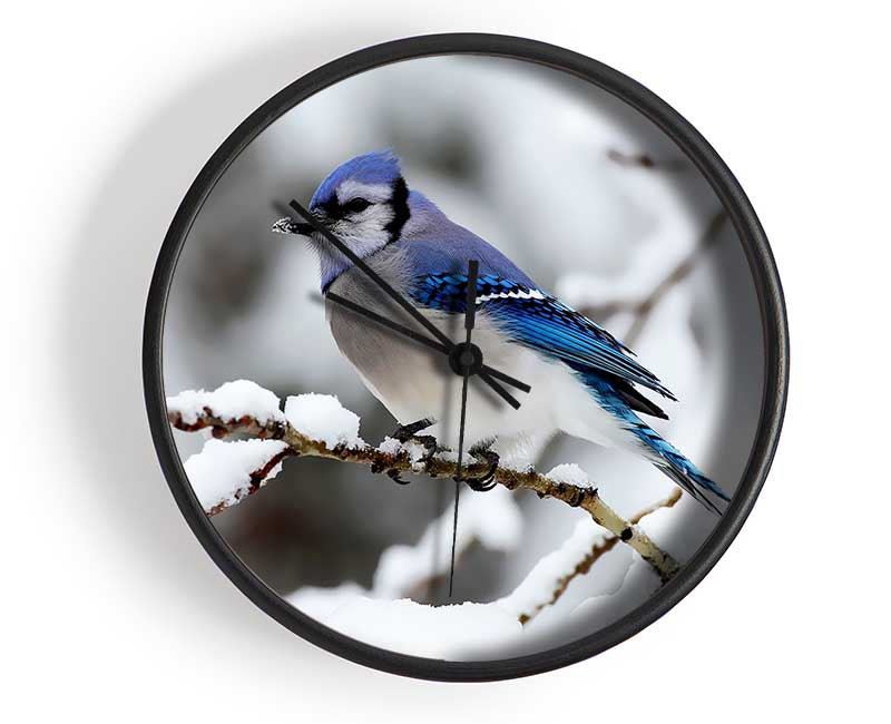 Blue Tit Winter Clock - Wallart-Direct UK