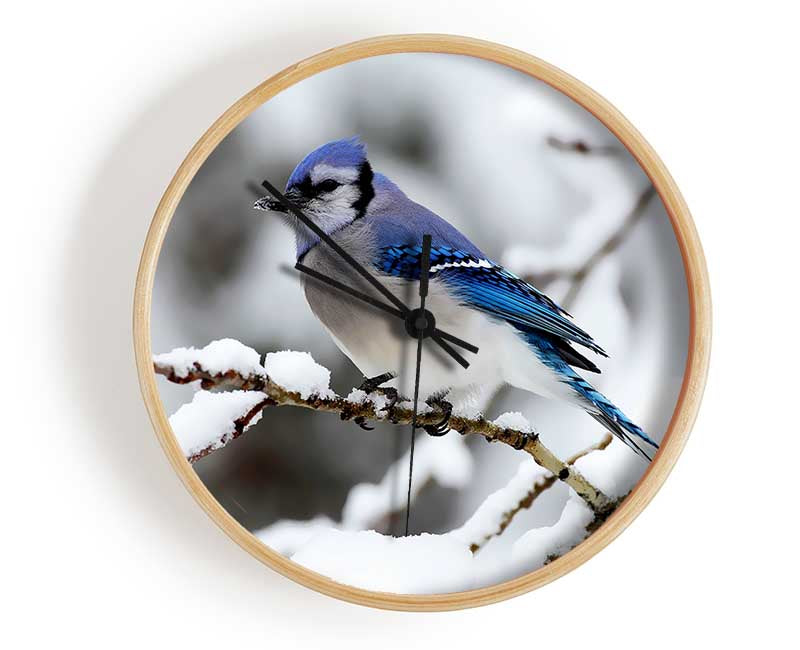 Blue Tit Winter Clock - Wallart-Direct UK